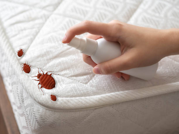 Best Pest Exclusion Services  in Wooster, OH